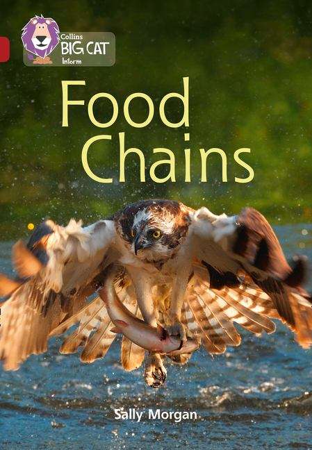 Book cover of Collins Big Cat, Band 14/Ruby: Food Chains (PDF)