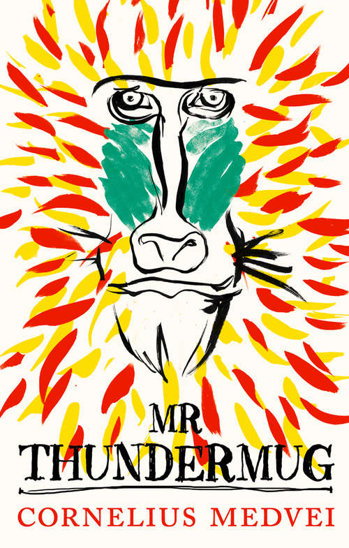 Book cover of Mr Thundermug: A Novel (ePub edition)
