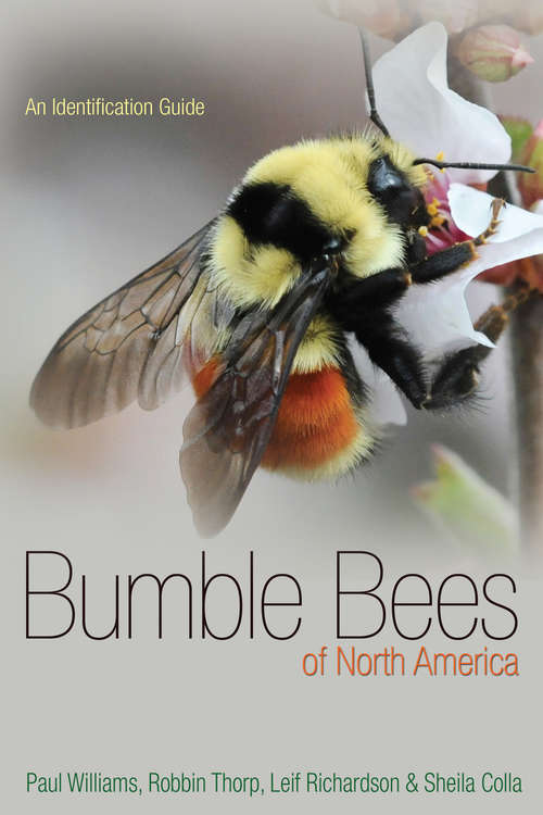 Book cover of Bumble Bees of North America: An Identification Guide (PDF)
