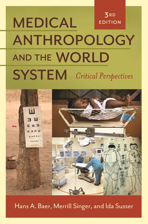 Book cover of Medical Anthropology and the World System: Critical Perspectives