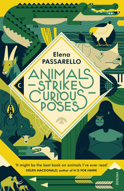 Book cover of Animals Strike Curious Poses