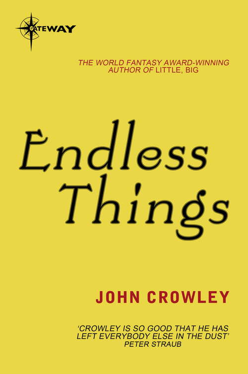 Book cover of Endless Things
