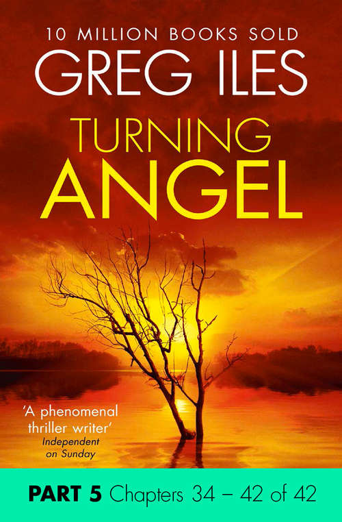Book cover of Turning Angel: Part 5, Chapters 34 to 42 (ePub edition)