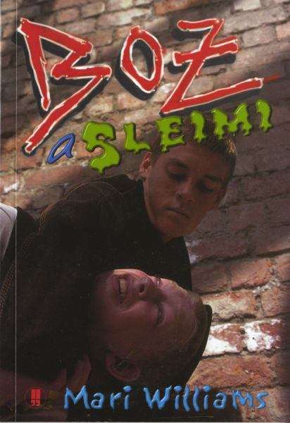 Book cover of Boz a Sleimi (Cyfres yr Arddegau)
