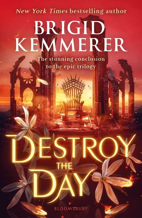 Book cover of Destroy the Day (Defy the Night)