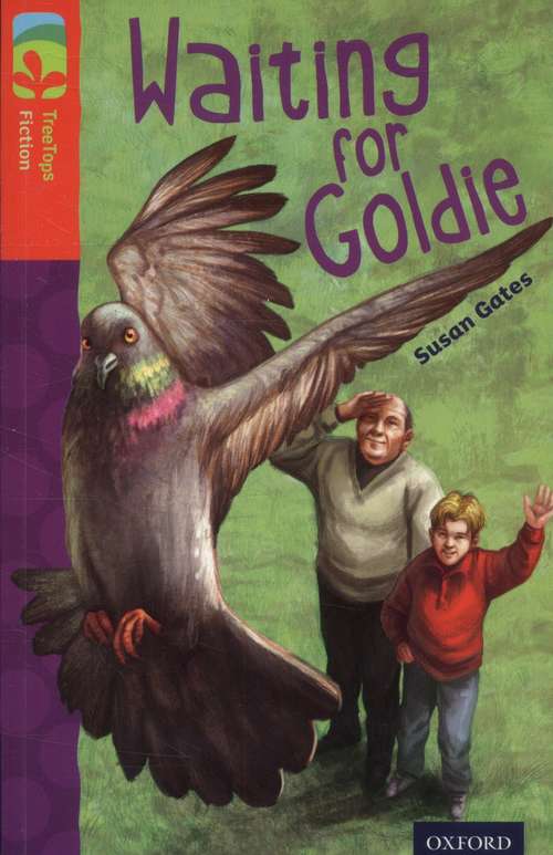 Book cover of Oxford Reading Tree, Level 13, TreeTops Fiction: Waiting for Goldie (2014 edition) (PDF)