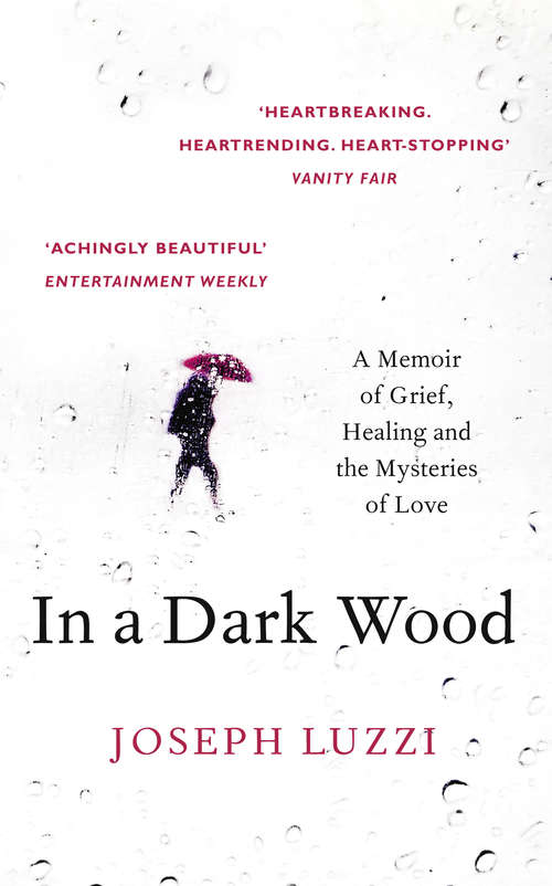 Book cover of In a Dark Wood: What Dante Taught Me About Grief, Healing, And The Mysteries Of Love (ePub edition)