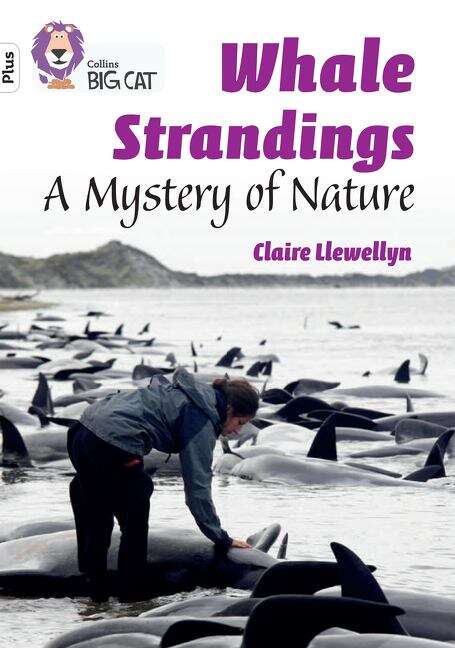 Book cover of Collins Big Cat — Whale Strandings: A Mystery of Nature: Band 10+/White Plus (PDF)