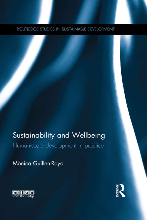Book cover of Sustainability and Wellbeing: Human-Scale Development in Practice (Routledge Studies in Sustainable Development)