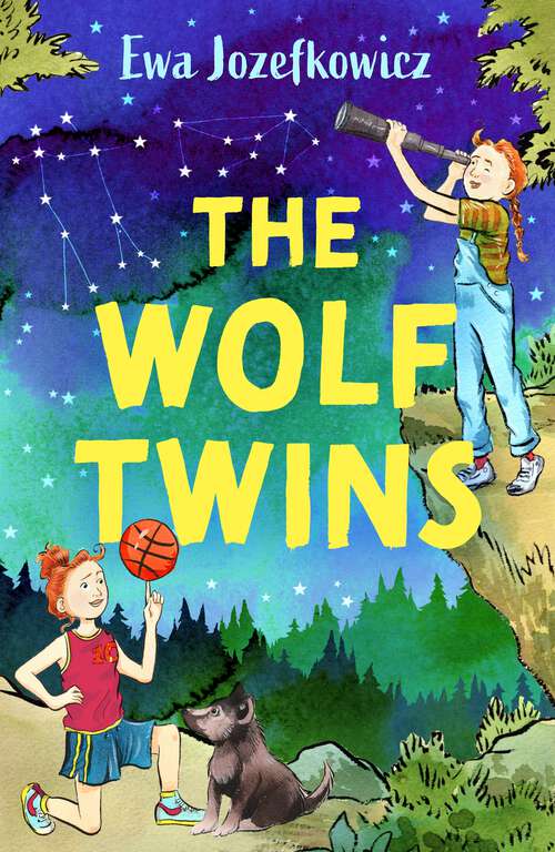 Book cover of The Wolf Twins