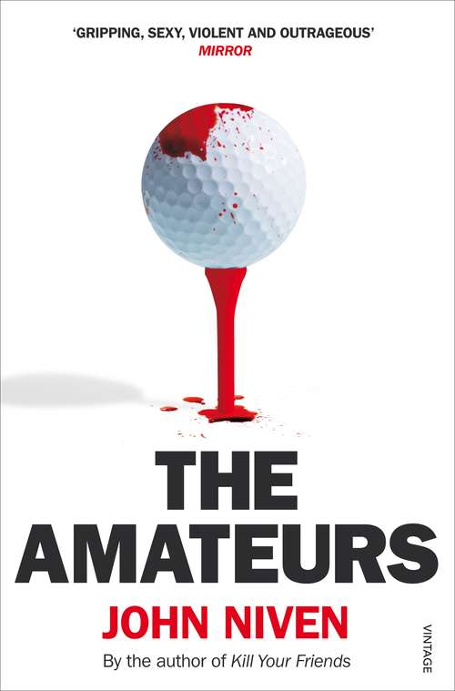 Book cover of The Amateurs: A Novel (P. S. Series)