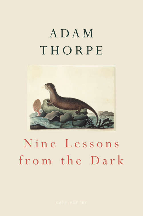 Book cover of Nine Lessons From The Dark