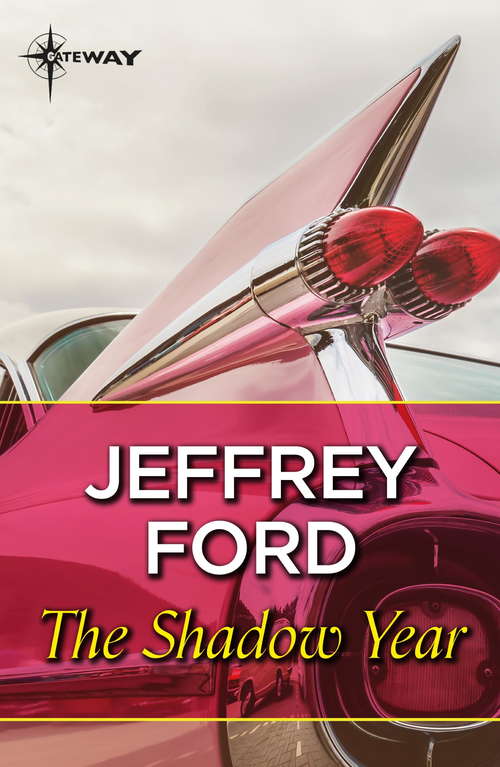 Book cover of The Shadow Year: A Novel
