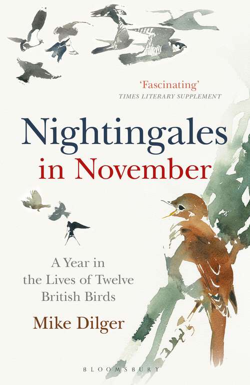 Book cover of Nightingales in November: A Year in the Lives of Twelve British Birds