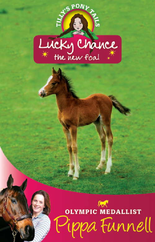 Book cover of Lucky Chance the New Foal: Book 5 (Tilly's Pony Tails #5)