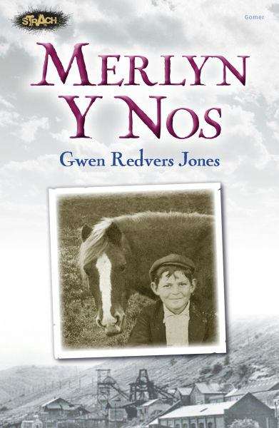 Book cover of Merlyn y Nos (Cyfres Strach)