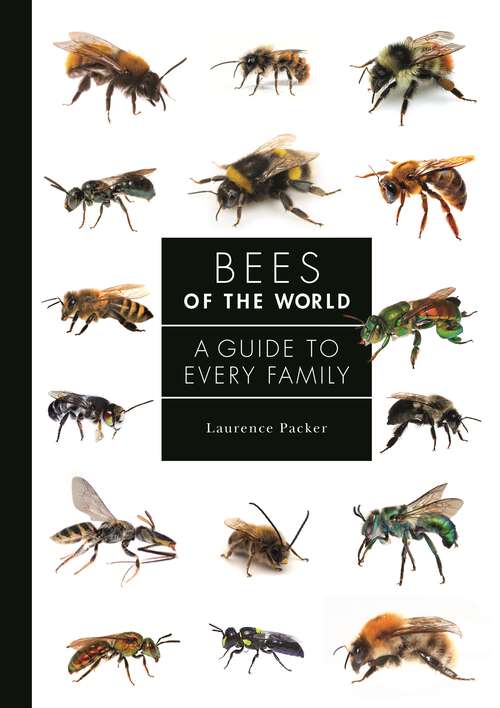 Book cover of Bees of the World: A Guide to Every Family (A Guide to Every Family #5)