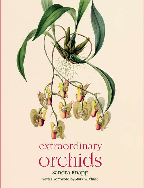 Book cover of Extraordinary Orchids