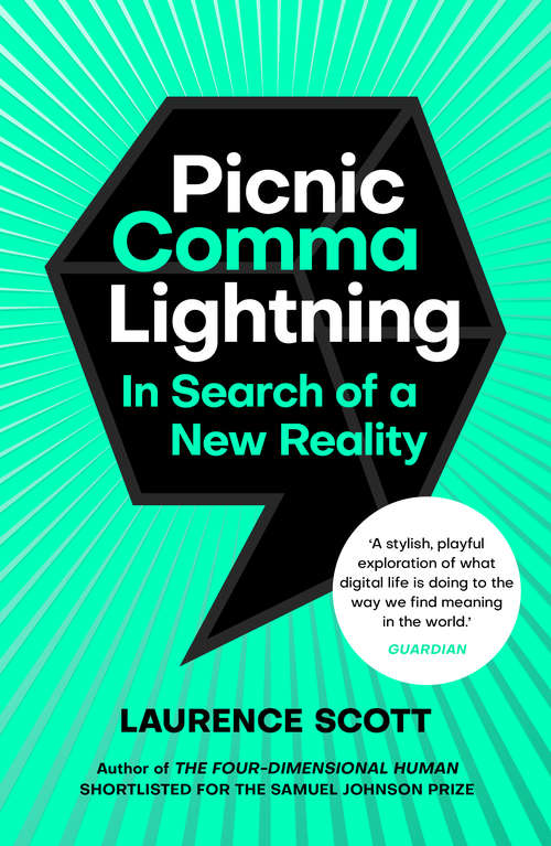 Book cover of Picnic Comma Lightning: In Search of a New Reality