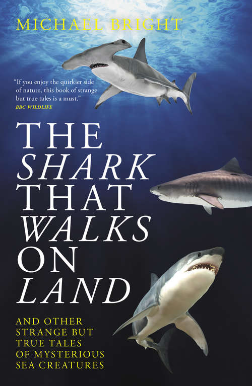 Book cover of The Shark That Walks On Land: and Other Strange But True Tales of Mysterious Sea Creatures