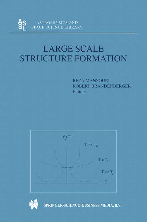Book cover of Large Scale Structure Formation (2000) (Astrophysics and Space Science Library #247)