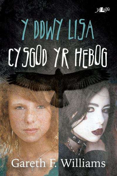 Book cover of Y Ddwy Lisa - Cysgod yr Hebog (Cyfres y Dderwen)