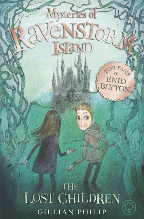 Book cover of The Lost Children: Book 1 (Mysteries of Ravenstorm Island #1)