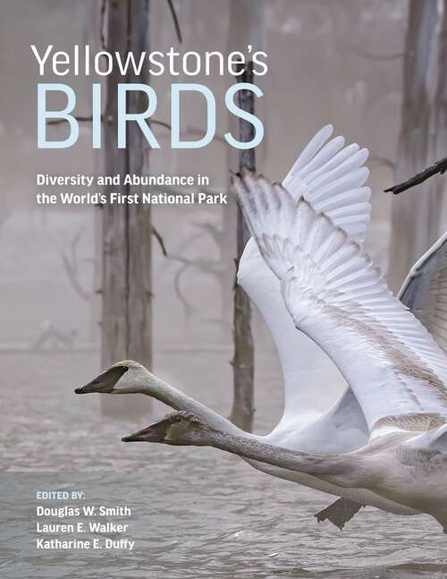 Book cover of Yellowstone’s Birds: Diversity and Abundance in the World’s First National Park