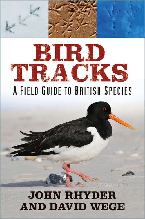 Book cover of Bird Tracks A Field Guide to British Species: A Field Guide To British Species