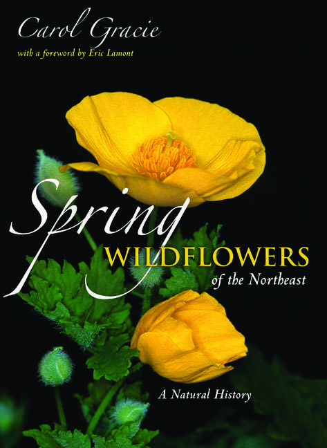 Book cover of Spring Wildflowers of the Northeast: A Natural History