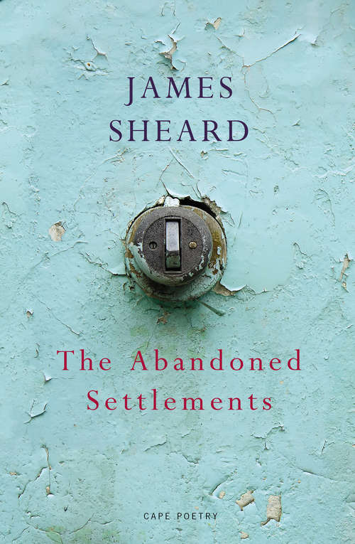 Book cover of The Abandoned Settlements