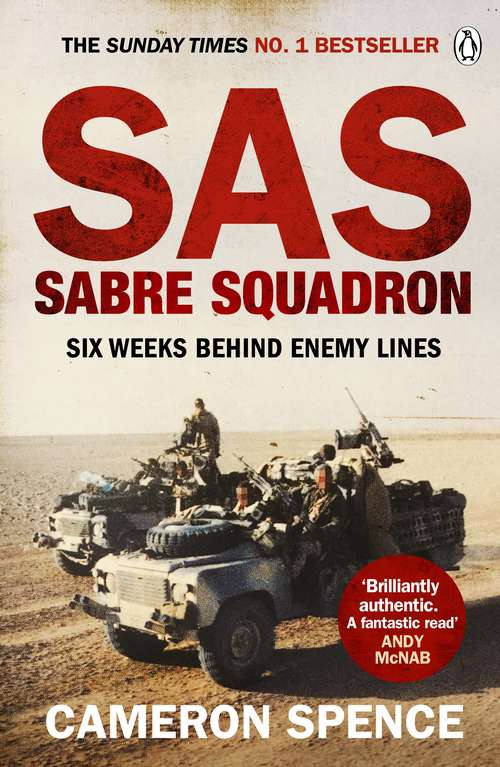Book cover of Sabre Squadron
