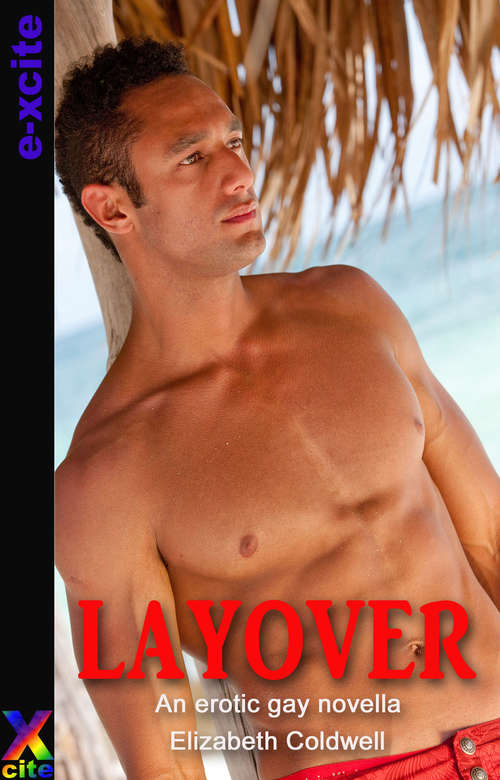 Book cover of Layover: An erotic gay novella