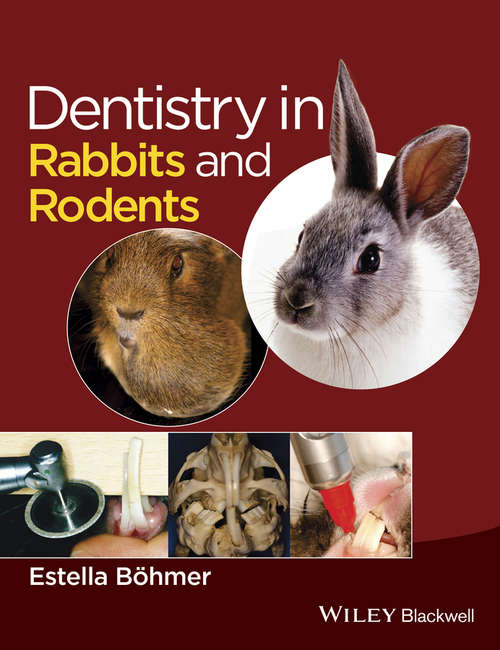 Book cover of Dentistry in Rabbits and Rodents