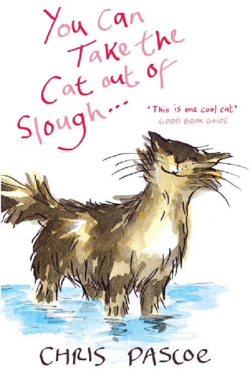 Book cover of You Can Take the Cat out of Slough . . .