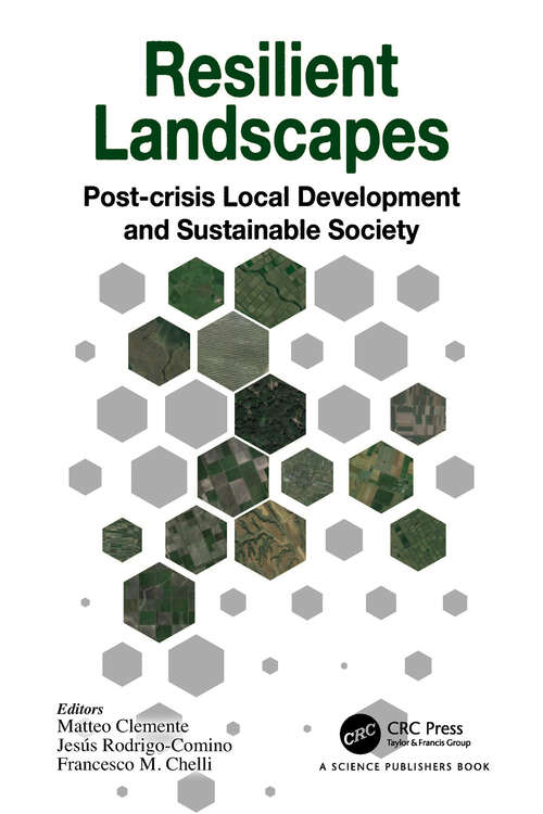 Book cover of Resilient Landscapes: Post-crisis Local Development and Sustainable Society