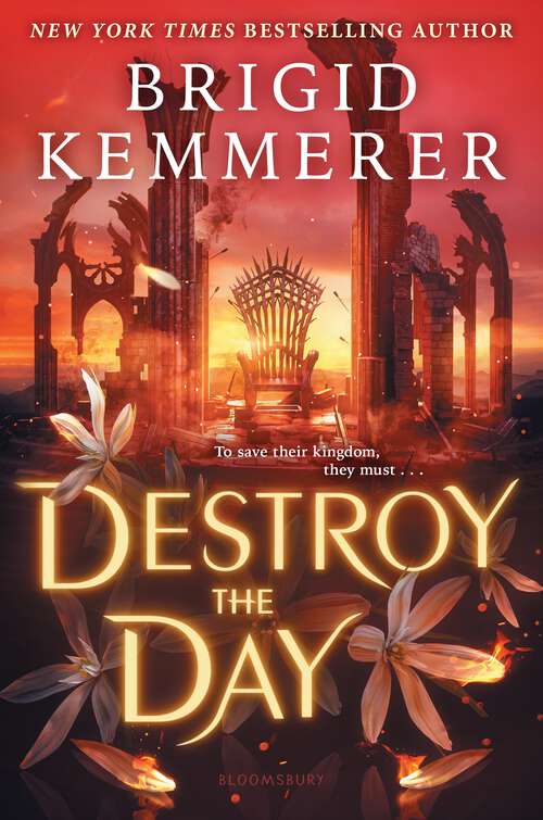 Book cover of Destroy the Day (Defy the Night #3)