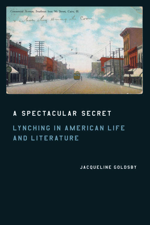 Book cover of A Spectacular Secret: Lynching in American Life and Literature