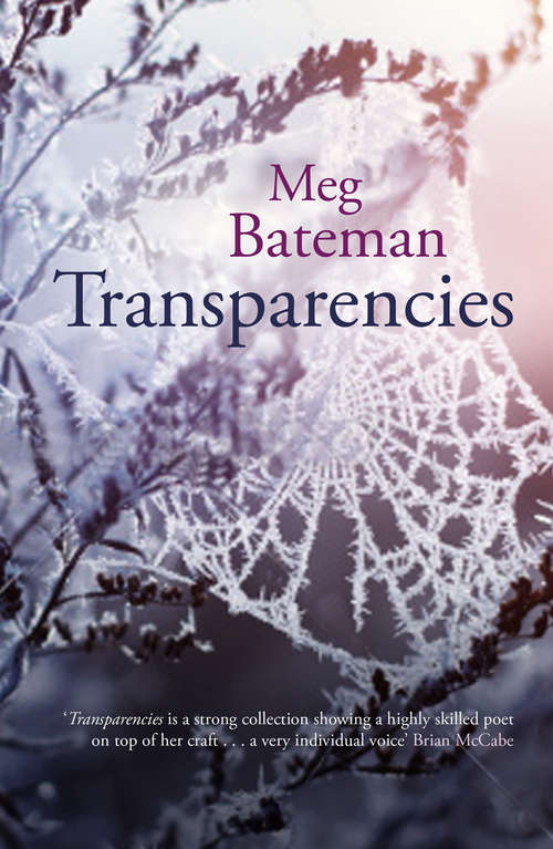 Book cover of Transparencies