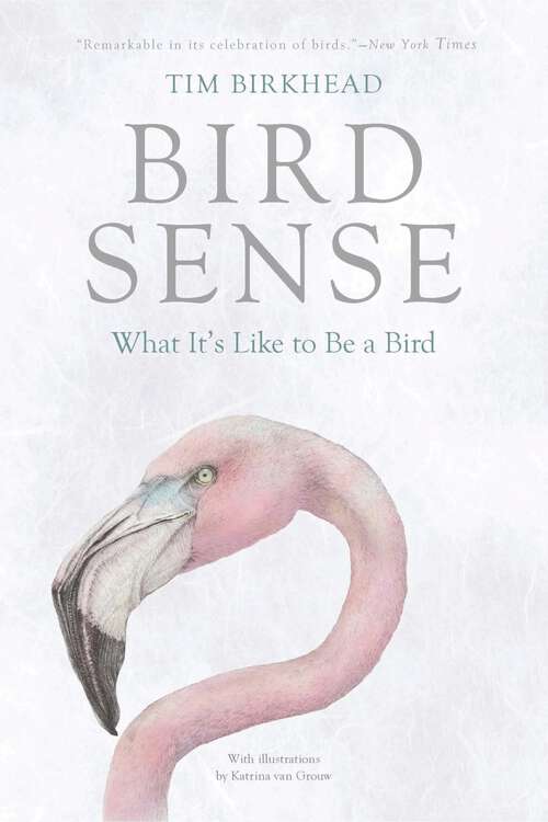 Book cover of Bird Sense: What It's Like to Be a Bird