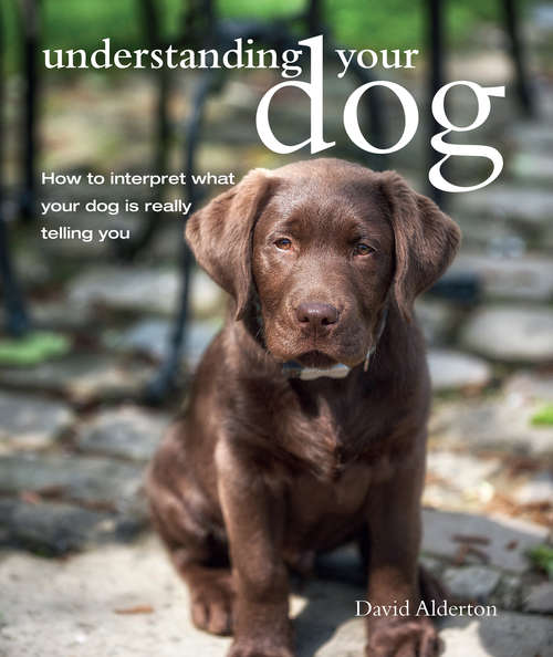 Book cover of Understanding Your Dog: How to interpret what your dog is really telling you