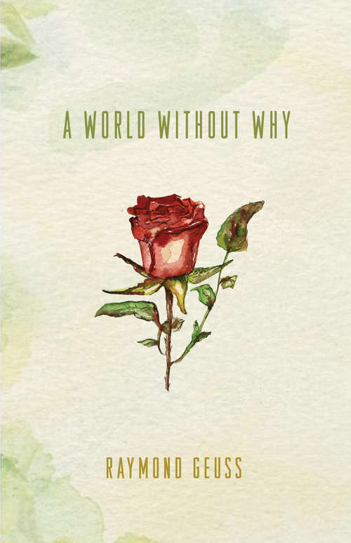 Book cover of A World without Why