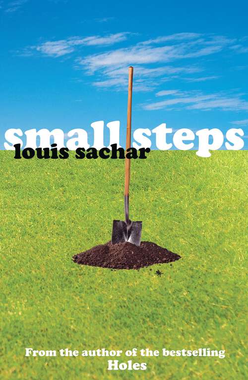 Book cover of Small Steps (Readers Circle Ser.)