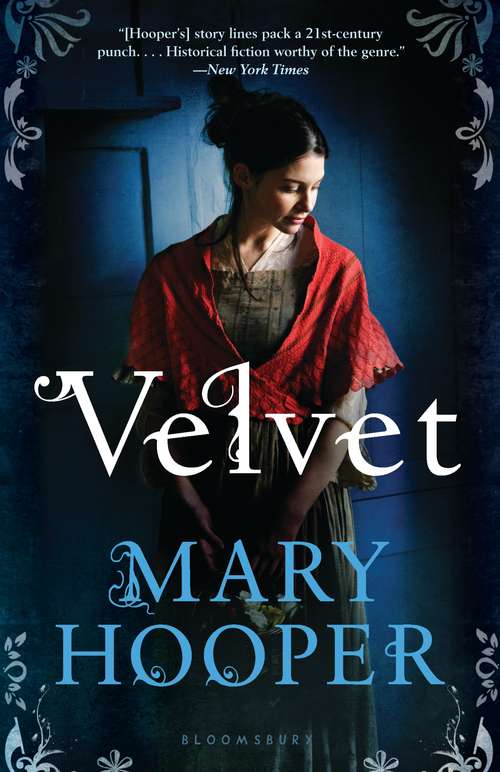 Book cover of Velvet