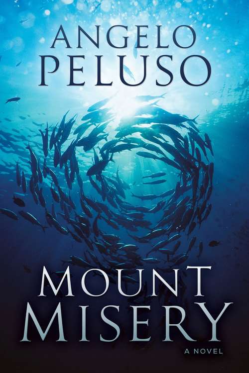 Book cover of Mount Misery: A Novel