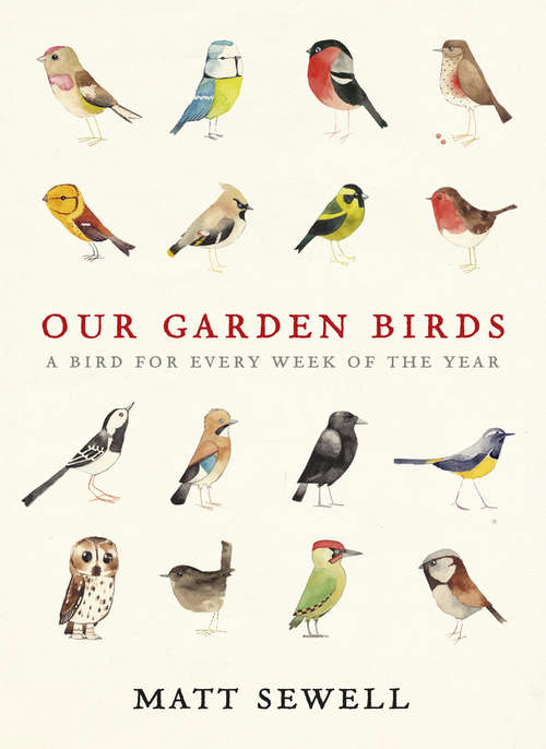 Book cover of Our Garden Birds