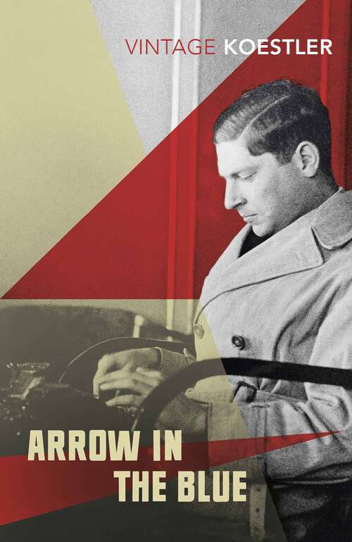 Book cover of Arrow in the Blue