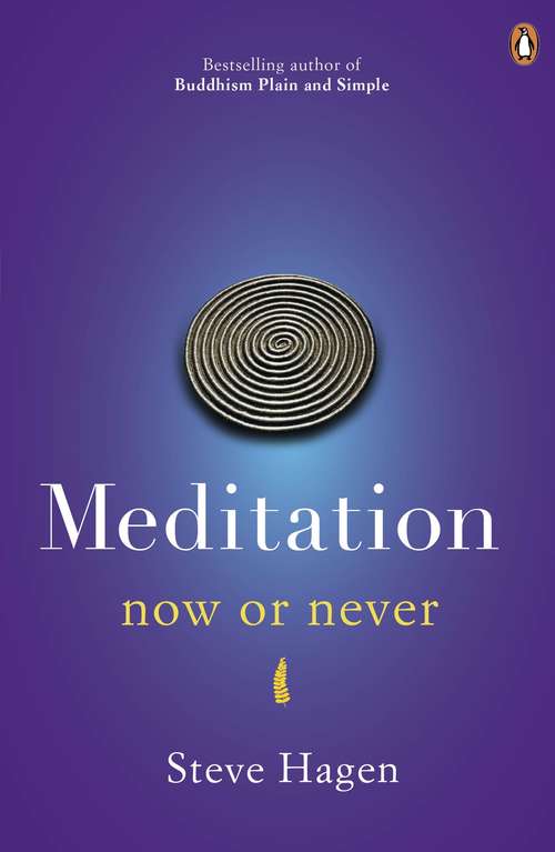 Book cover of Meditation Now or Never