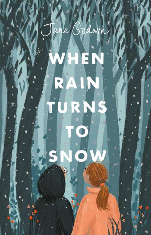 Book cover of When Rain Turns to Snow