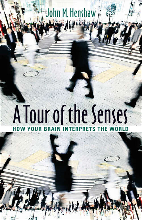 Book cover of A Tour of the Senses: How Your Brain Interprets the World